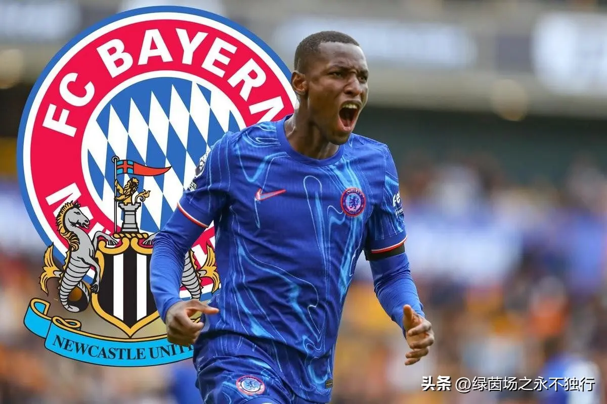 置上上述, tenan 置上上述, tenan