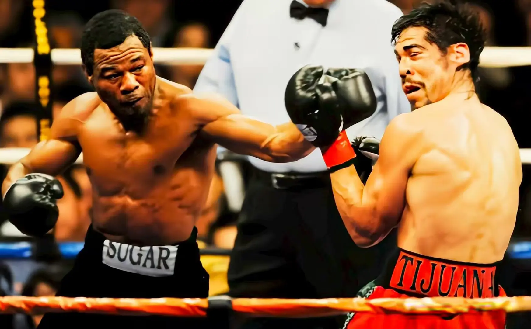 年两次击败, entit